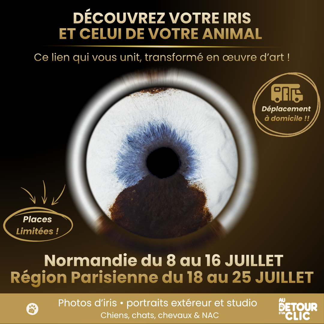 PUB FB ANIMAUX 1080P