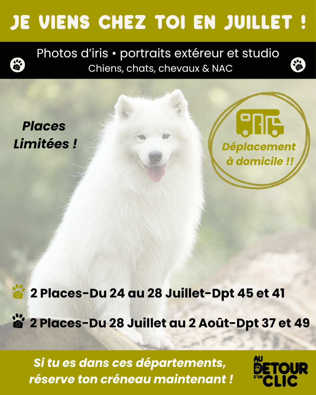 seance-photo-iris-orleans
