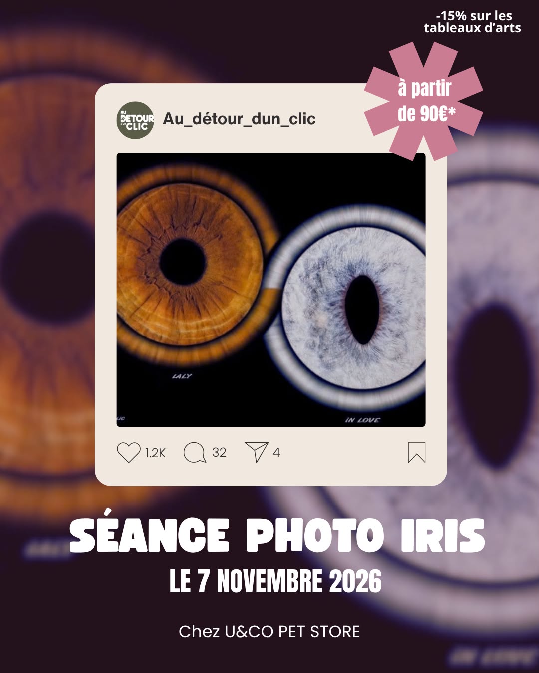 seance-photo-iris-animaux